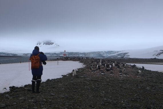 OTL24-25, Day 8, IMG_8481.JPG © Beth Hitchcock - Oceanwide Expeditions.JPG