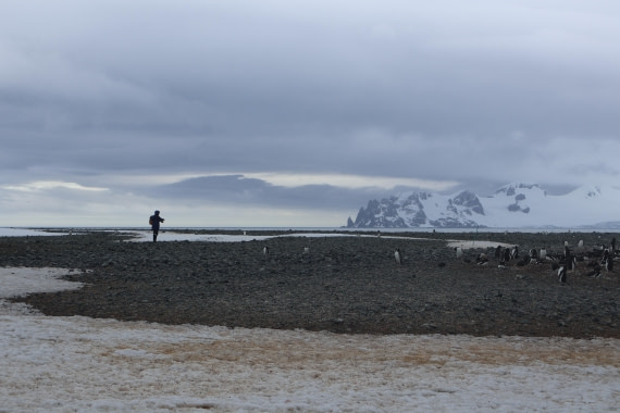 OTL24-25, Day 8, IMG_8495.JPG © Beth Hitchcock - Oceanwide Expeditions.JPG