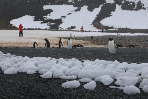 OTL24-25, Day 8, IMG_8503.JPG © Beth Hitchcock - Oceanwide Expeditions.JPG