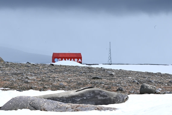 OTL24-25, Day 8, SAS_4878.JPG © Saskia van der Meij - Oceanwide Expeditions.JPG