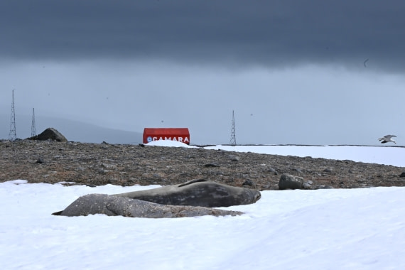 OTL24-25, Day 8, SAS_4880.JPG © Saskia van der Meij - Oceanwide Expeditions.JPG