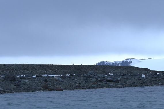 OTL24-25, Day 8, SAS_4959.JPG © Saskia van der Meij - Oceanwide Expeditions.JPG