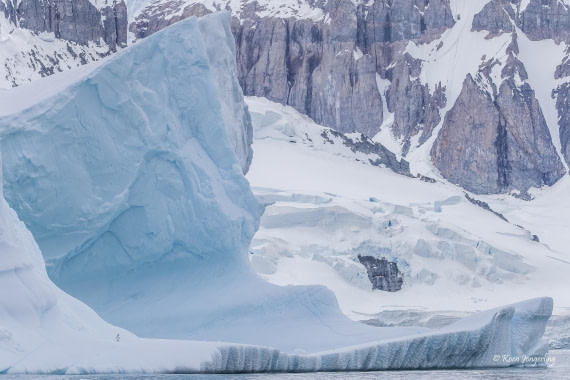 HDS24-25, Day 4, 5D5A0181 © Koen Jongerling - Oceanwide Expeditions.jpg