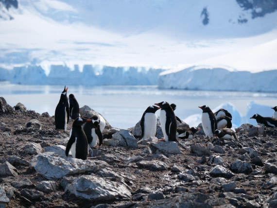 HDS24-25, Day 4, P1022989 © Unknown photographer - Oceanwide Expeditions.JPG