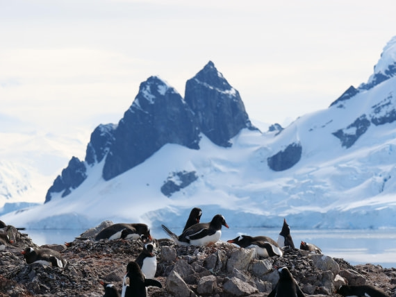 HDS24-25, Day 4, P1022991 © Unknown photographer - Oceanwide Expeditions.JPG