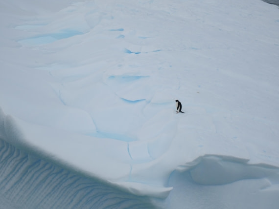 HDS24-25, Day 4, P1022999 © Unknown photographer - Oceanwide Expeditions.JPG