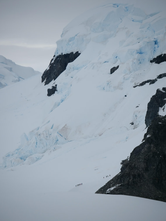 HDS24-25, Day 4, P1023022 © Unknown photographer - Oceanwide Expeditions.JPG