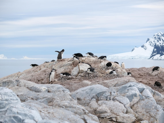 HDS24-25, Day 4, P1023025 © Unknown photographer - Oceanwide Expeditions.JPG