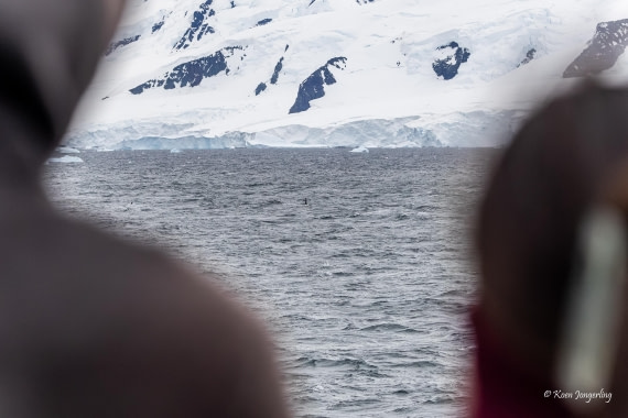 HDS24-25, Day 5, 5D5A0193 © Koen Jongerling - Oceanwide Expeditions.jpg