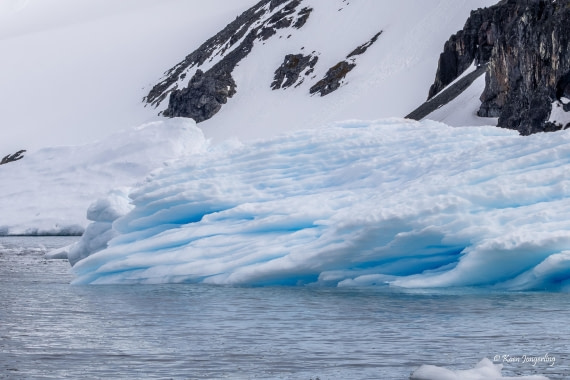 HDS24-25, Day 5, 5D5A0252 © Koen Jongerling - Oceanwide Expeditions.jpg