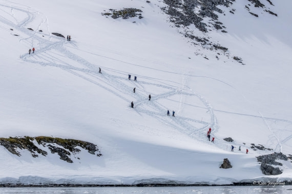 HDS24-25, Day 5, 5D5A0261 © Koen Jongerling - Oceanwide Expeditions.jpg