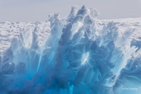 HDS24-25, Day 6, 5D5A0327 © Koen Jongerling - Oceanwide Expeditions.jpg