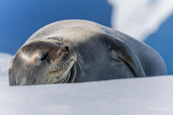HDS24-25, Day 6, 5D5A0456 © Koen Jongerling - Oceanwide Expeditions.jpg