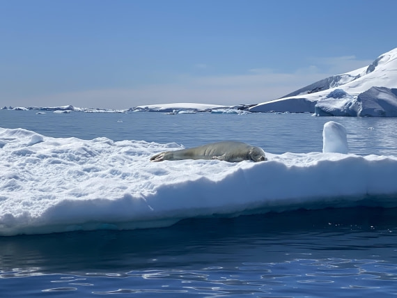 HDS24-25, Day 6, IMG_7769 © Unknown photographer - Oceanwide Expeditions.JPG
