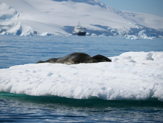 HDS24-25, Day 6, P1023058 © Unknown photographer - Oceanwide Expeditions.JPG
