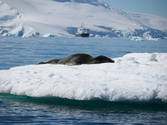 HDS24-25, Day 6, P1023059 © Unknown photographer - Oceanwide Expeditions.JPG