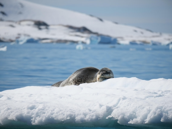 HDS24-25, Day 6, P1023061 © Unknown photographer - Oceanwide Expeditions.JPG
