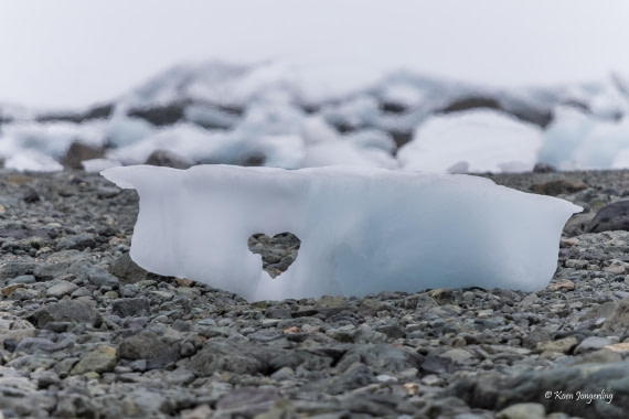 HDS24-25, Day 8, 5D5A0476 © Koen Jongerling - Oceanwide Expeditions.jpg
