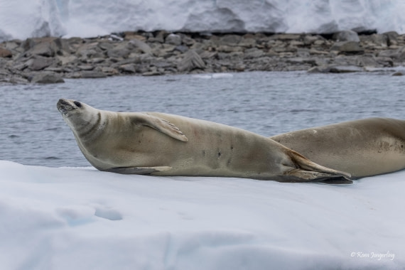 HDS24-25, Day 8, 5D5A0482 © Koen Jongerling - Oceanwide Expeditions.jpg