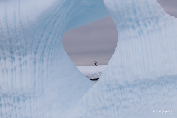 HDS24-25, Day 8, 5D5A0522 © Koen Jongerling - Oceanwide Expeditions.jpg