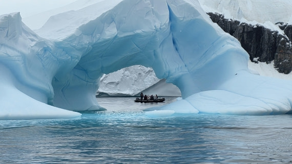 HDS24-25, Day 8, 20251216_101658 © Unknown photographer - Oceanwide Expeditions.jpg
