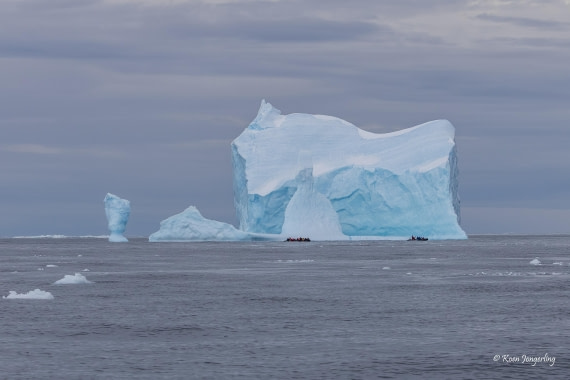 HDS24-25, Day 9, 5D5A0549 © Koen Jongerling - Oceanwide Expeditions.jpg