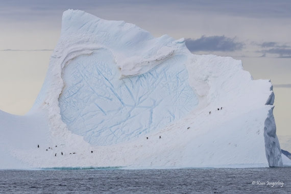 HDS24-25, Day 9, 5D5A0564 © Koen Jongerling - Oceanwide Expeditions.jpg