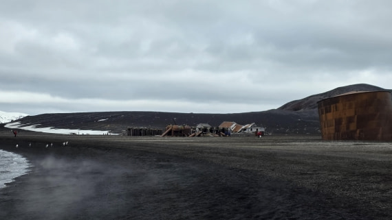 HDS24-25, Day 10, 20251218_092556 © Unknown photographer - Oceanwide Expeditions.jpg