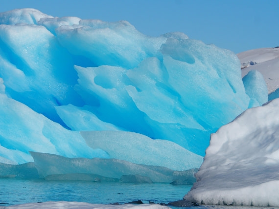 Blue icebergs