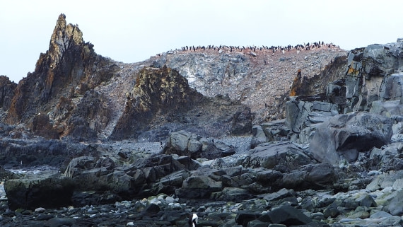 Beautiful Half Moon Island