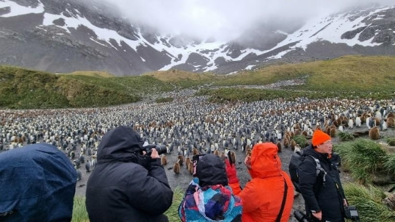 OTL25-26, Day 7, Picture17.jpg © Unknown Photographer - Oceanwide Expeditions.jpg