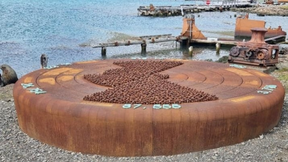 OTL25-26, Day 8, Picture21.jpg © Unknown Photographer - Oceanwide Expeditions.jpg