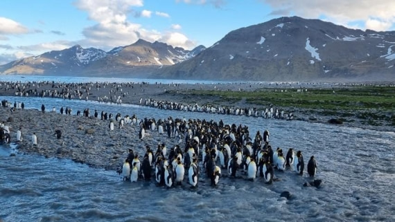 OTL25-26, Day 8, Picture23.jpg © Unknown Photographer - Oceanwide Expeditions.jpg