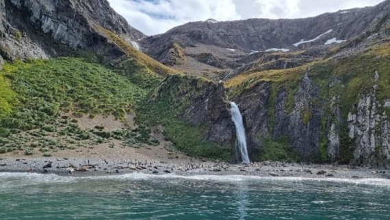 OTL25-26, Day 9, Picture27.jpg © Unknown Photographer - Oceanwide Expeditions.jpg