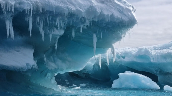 OTL25-26, Day 14, Picture41.jpg © Unknown Photographer - Oceanwide Expeditions.jpg