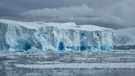 OTL25-26, Day 16, Picture48.jpg © Unknown Photographer - Oceanwide Expeditions.jpg