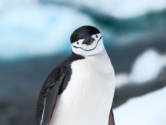 Main Character Moment