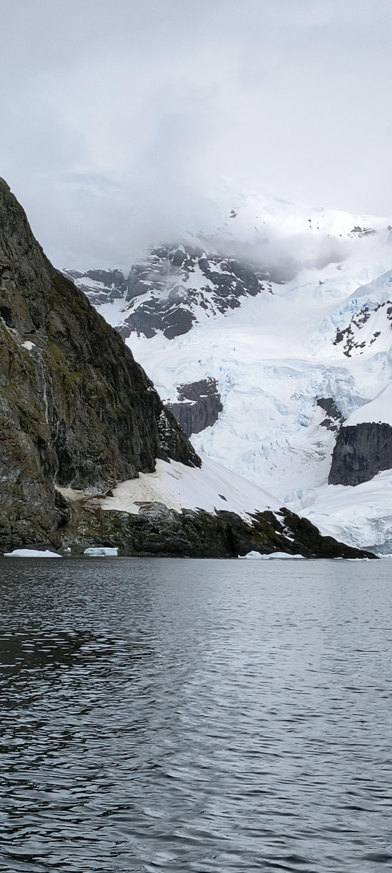 Cloudy with a Chance of Penguins