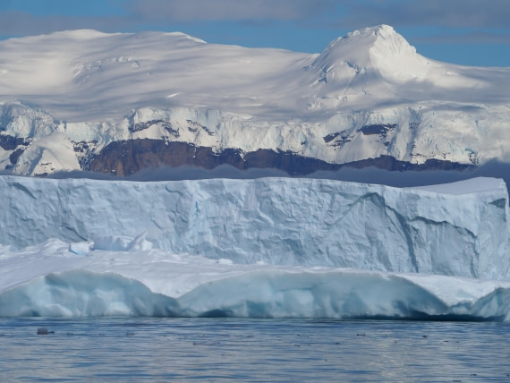 Three years of iceberg