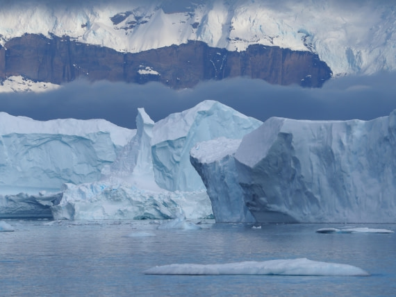Different shades of white and blue