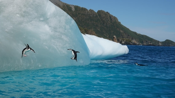 You're in the wrong direction, buddy