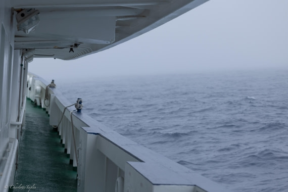 PLA25-26, Day 2, FZ1A5218-1.jpg © Unknown Photographer - Oceanwide Expeditions.jpg