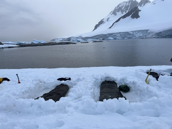 PLA25-26, Day 4, IMG_5387.JPG © Unknown Photographer - Oceanwide Expeditions.JPG