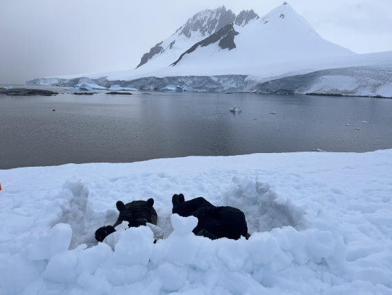 PLA25-26, Day 4, IMG_5391.JPG © Unknown Photographer - Oceanwide Expeditions.JPG