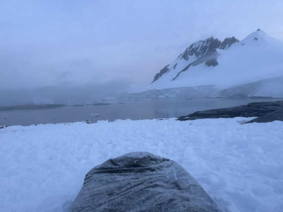 PLA25-26, Day 4, IMG_5410.JPG © Unknown Photographer - Oceanwide Expeditions.JPG