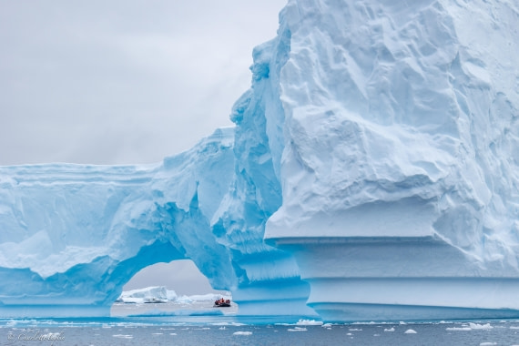 PLA25-26, Day 6, FZ1A5592.jpg © Katlyn Taylor - Oceanwide Expeditions.jpg