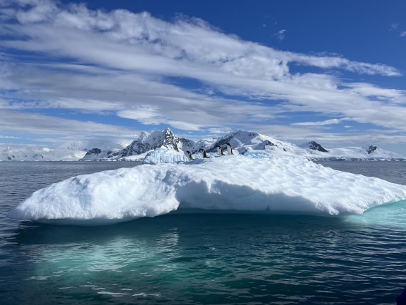 PLA25-26, Day 7, IMG_5446.JPG © Katlyn Taylor - Oceanwide Expeditions.JPG