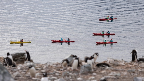PLA25-26, Day 8, 4Q9A4304.jpg © Katlyn Taylor - Oceanwide Expeditions.jpg