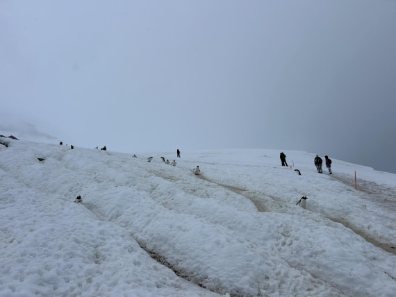 PLA25-26, Day 8, IMG_0355 2.jpeg © Katlyn Taylor - Oceanwide Expeditions.jpeg