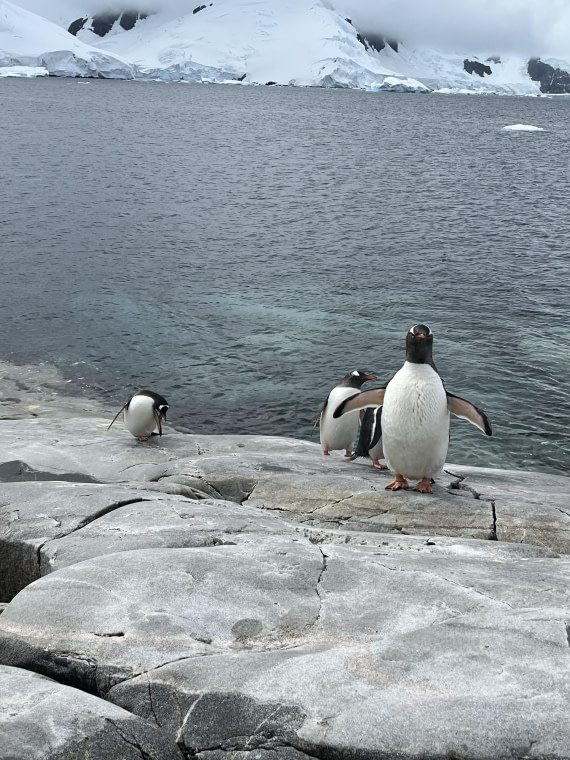 PLA25-26, Day 8, IMG_3745.jpeg © Chris Forrest - Oceanwide Expeditions.jpeg